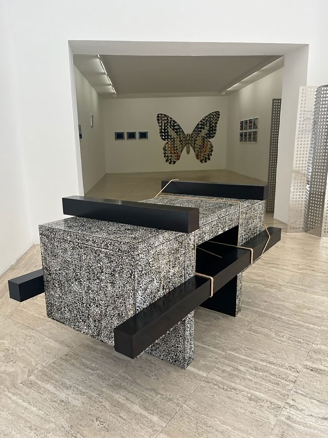 Anthea Hamilton